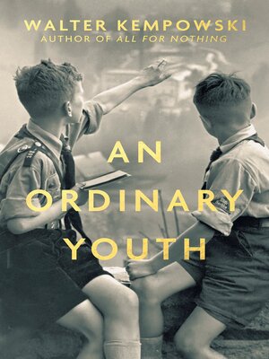 cover image of An Ordinary Youth